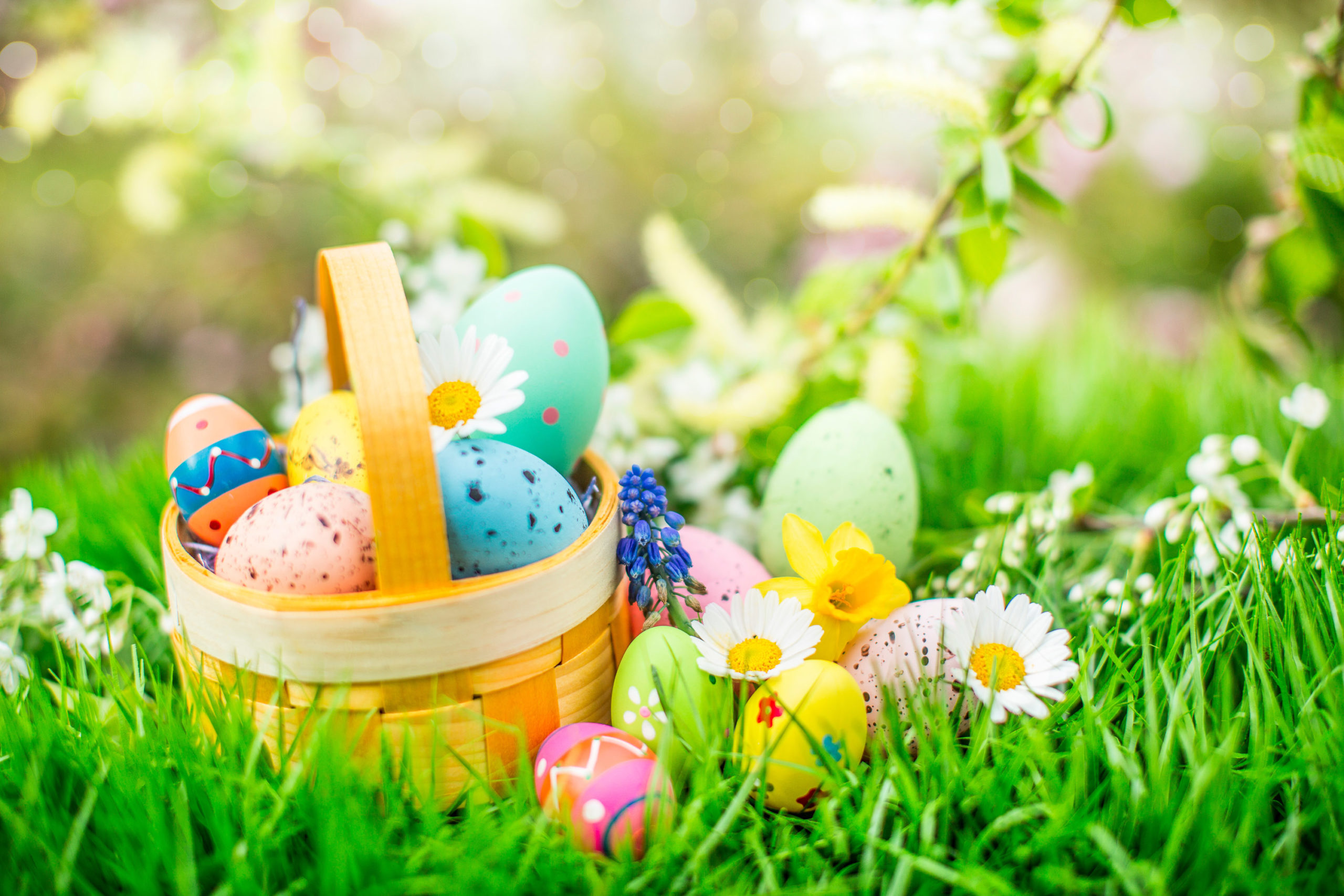 easter green garden